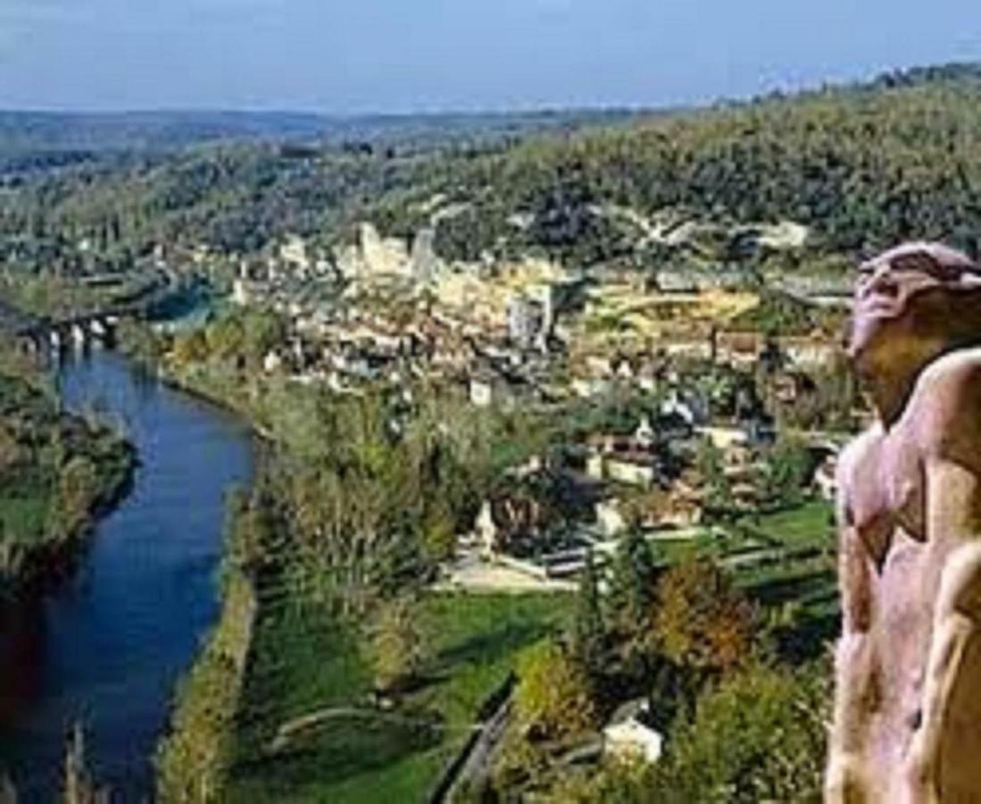 Les Pruniers De La Cipiere Villa Peyzac-le-Moustier Buitenkant foto
