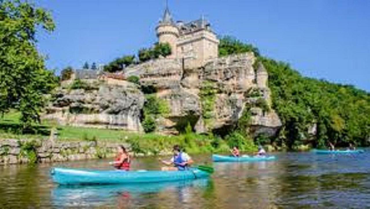Les Pruniers De La Cipiere Villa Peyzac-le-Moustier Buitenkant foto