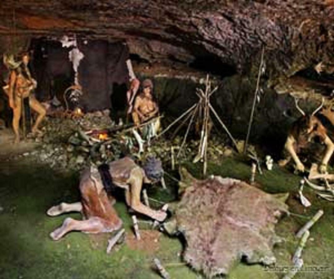 Les Pruniers De La Cipiere Villa Peyzac-le-Moustier Buitenkant foto