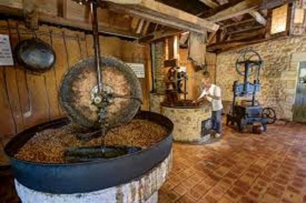 Les Pruniers De La Cipiere Villa Peyzac-le-Moustier Buitenkant foto