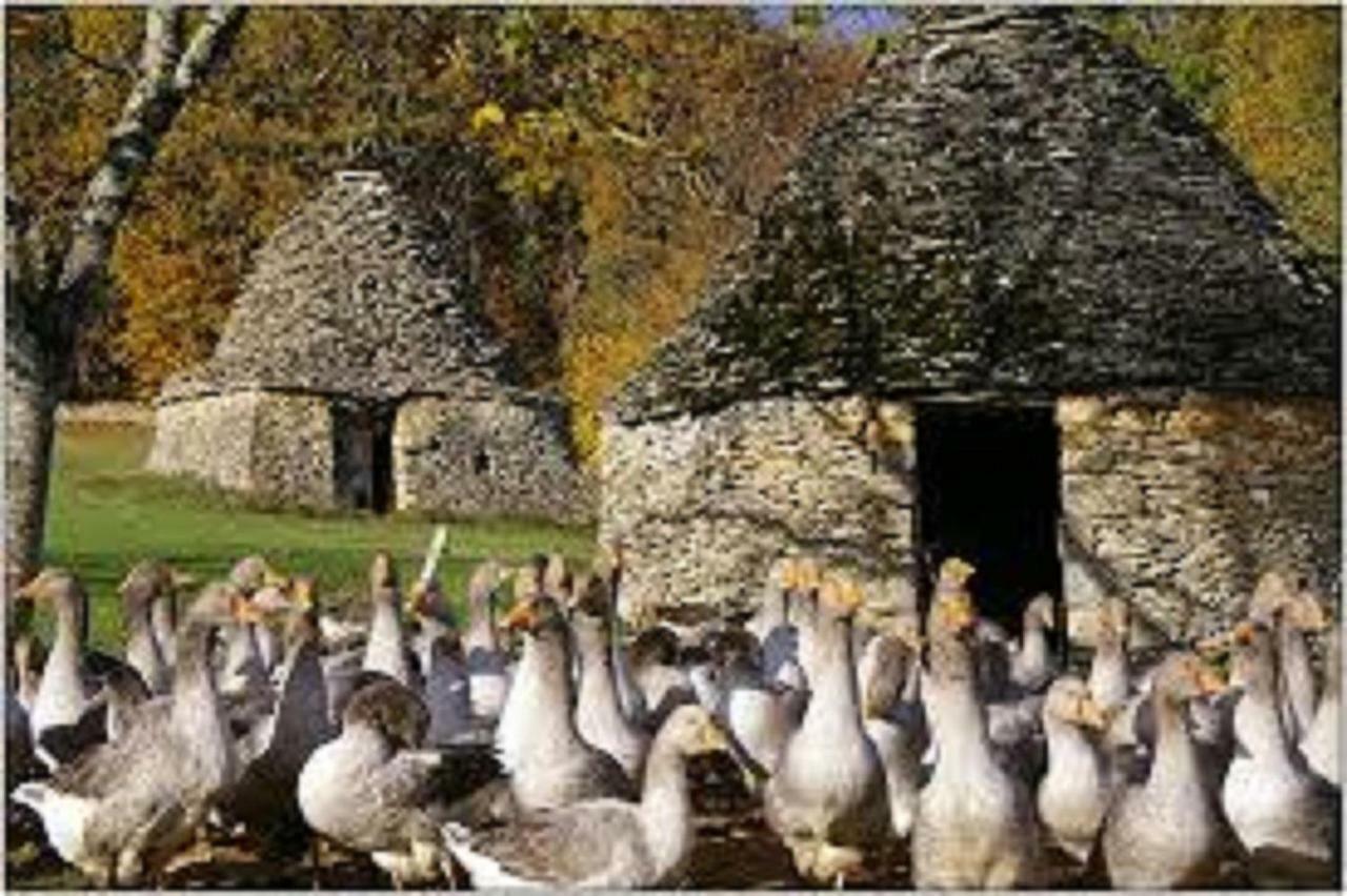 Les Pruniers De La Cipiere Villa Peyzac-le-Moustier Buitenkant foto