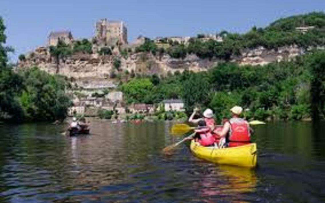Les Pruniers De La Cipiere Villa Peyzac-le-Moustier Buitenkant foto