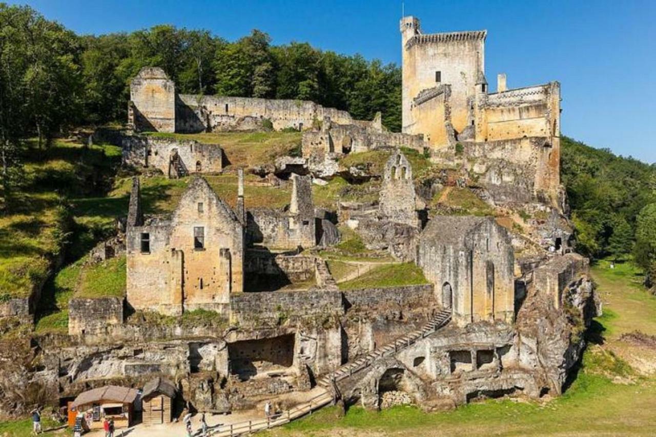 Les Pruniers De La Cipiere Villa Peyzac-le-Moustier Buitenkant foto